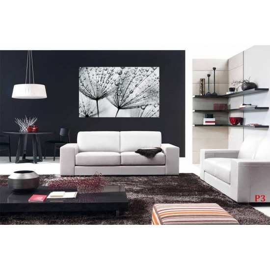 Photo mural grey dandelion with water drops