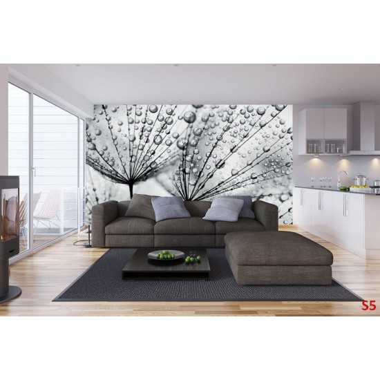 Photo mural grey dandelion with water drops