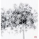 Wallpapers mural blossoms in grey gamut