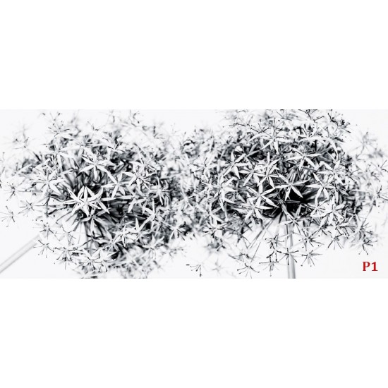 Wallpapers mural blossoms in grey gamut