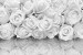 Photo mural bouquet of delicate roses with a mirror effect drops 2 nuance