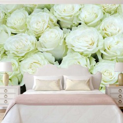 Wall murals a wall of white roses Wall murals a wall of white roses