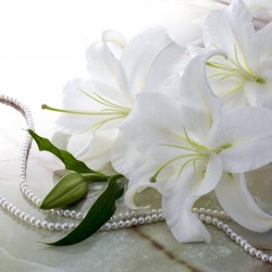 Wall murals fresh white lilies with and pearl garland Wall murals fresh white lilies with and pearl garland