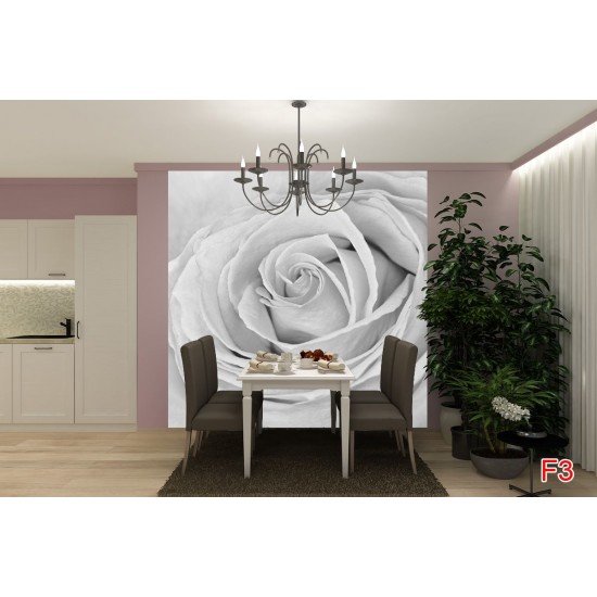 Wallpapers mural big gray rose