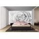 Wallpapers mural big gray rose