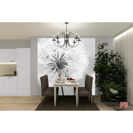 Photo mural delicate dandelion in grey gamut Photo mural delicate dandelion in grey gamut