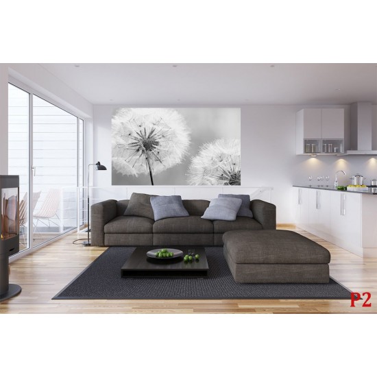 Photo mural delicate dandelion in grey gamut Photo mural delicate dandelion in grey gamut