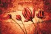 Wallpapers mural flaming art painted tulips
