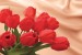 Wallpapers mural red tulips on a background of silk