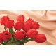 Wallpapers mural red tulips on a background of silk