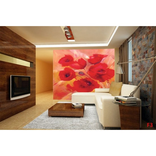 Wallpapers mural painted poppies 2