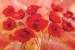 Wallpapers mural painted poppies 2