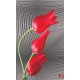 Wallpapers mural red tulips on gray figural background