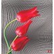 Wallpapers mural red tulips on gray figural background