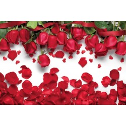 Wallpapers beautiful roses and hearts light background 