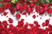 Wallpapers beautiful roses and hearts light background 