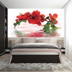 Wallpapers mural branch red color with water reflection Wallpapers mural branch red color with water reflection