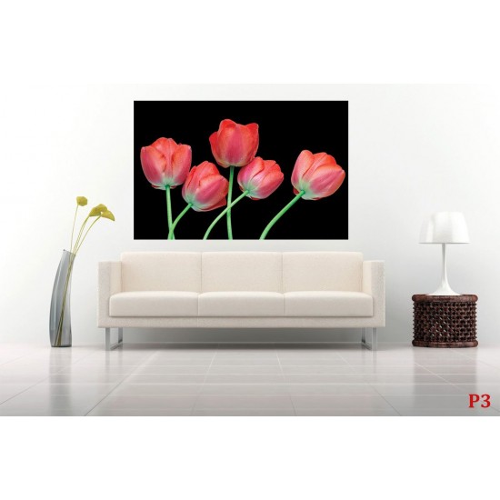 Wallpapers mural tulips on a black background Wallpapers mural tulips on a black background