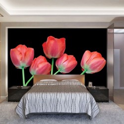 Wallpapers mural tulips on a black background