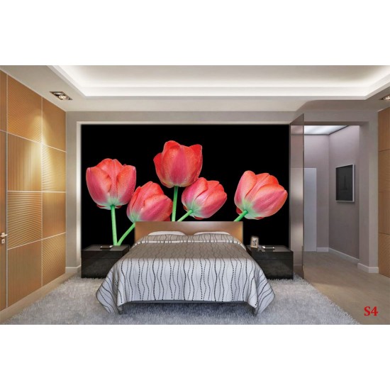 Wallpapers mural tulips on a black background Wallpapers mural tulips on a black background