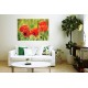 Wallpapers mural red poppy 3 Wallpapers mural red poppy 3