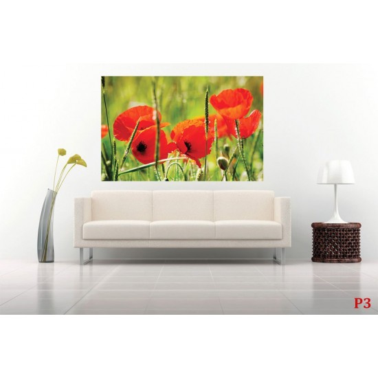 Wallpapers mural red poppy 3 Wallpapers mural red poppy 3