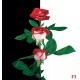 Wallpapers composition in black and white with red roses Wallpapers composition in black and white with red roses