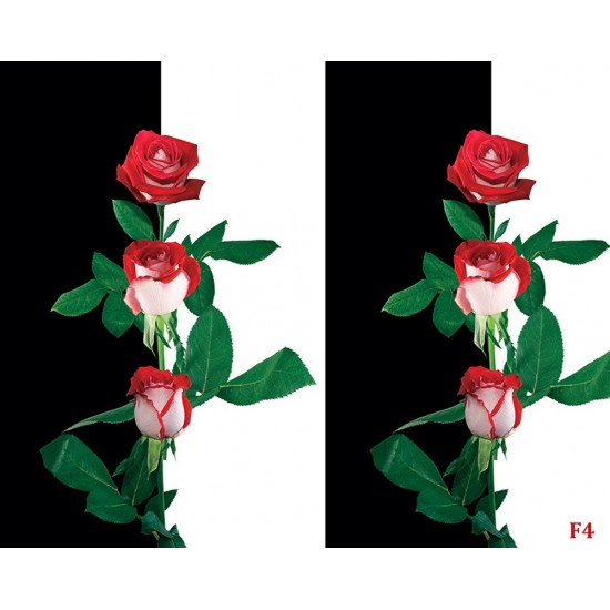 Wallpapers composition in black and white with red roses Wallpapers composition in black and white with red roses