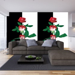 Wallpapers composition in black and white with red roses