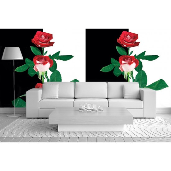 Wallpapers composition in black and white with red roses Wallpapers composition in black and white with red roses