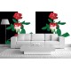 Wallpapers composition in black and white with red roses Wallpapers composition in black and white with red roses
