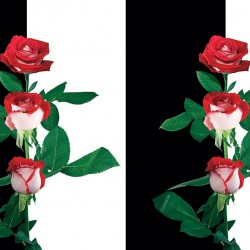 Wallpapers composition in black and white with red roses
