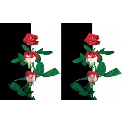 Wallpapers composition in black and white with red roses