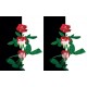 Wallpapers composition in black and white with red roses Wallpapers composition in black and white with red roses