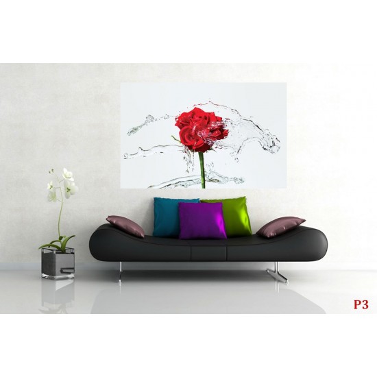 Wallpapers red rose with water splashes