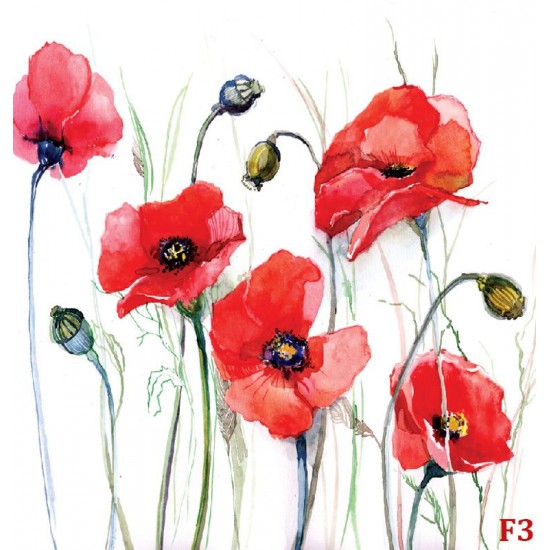 Wallpapers mural painted poppies Wallpapers mural painted poppies