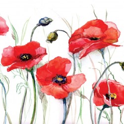 Wallpapers mural painted poppies