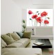 Wallpapers mural painted poppies Wallpapers mural painted poppies
