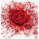 Wall mural red rose art Wall mural red rose art