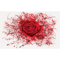 Wall mural red rose art Wall mural red rose art