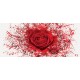 Wall mural red rose art Wall mural red rose art