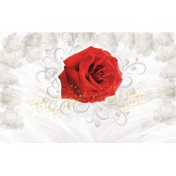 Photo mural red rose and white roses in 2 variants