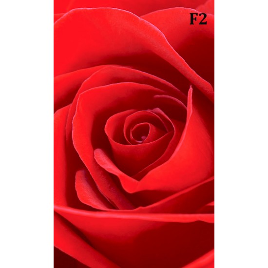 Photo mural rose background in red 