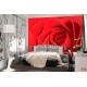 Photo mural rose background in red 