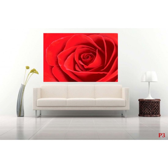 Photo mural rose background in red 