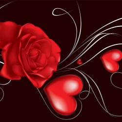 Wallpapers mural abstract red rose