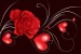 Wallpapers mural abstract red rose