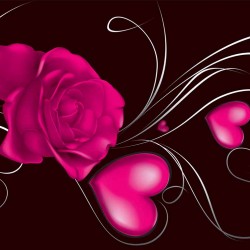 Wallpapers mural abstract red rose