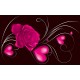 Wallpapers mural abstract red rose