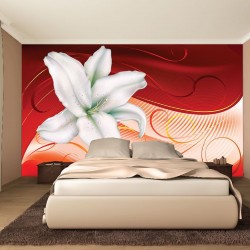 Wallpapers mural liliy in red and orange